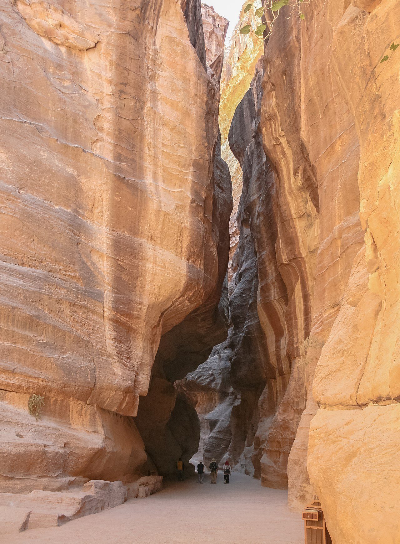The Siq slot canyon at Petra.